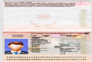 Bulgaria Passport Psd Template