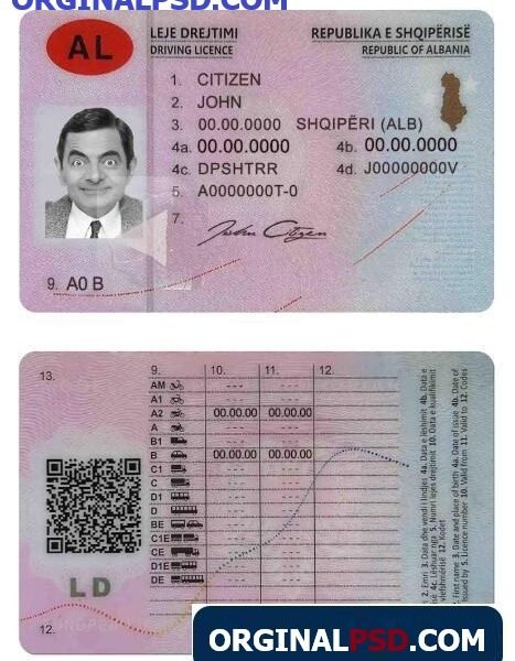 Albania driving license download PSD template